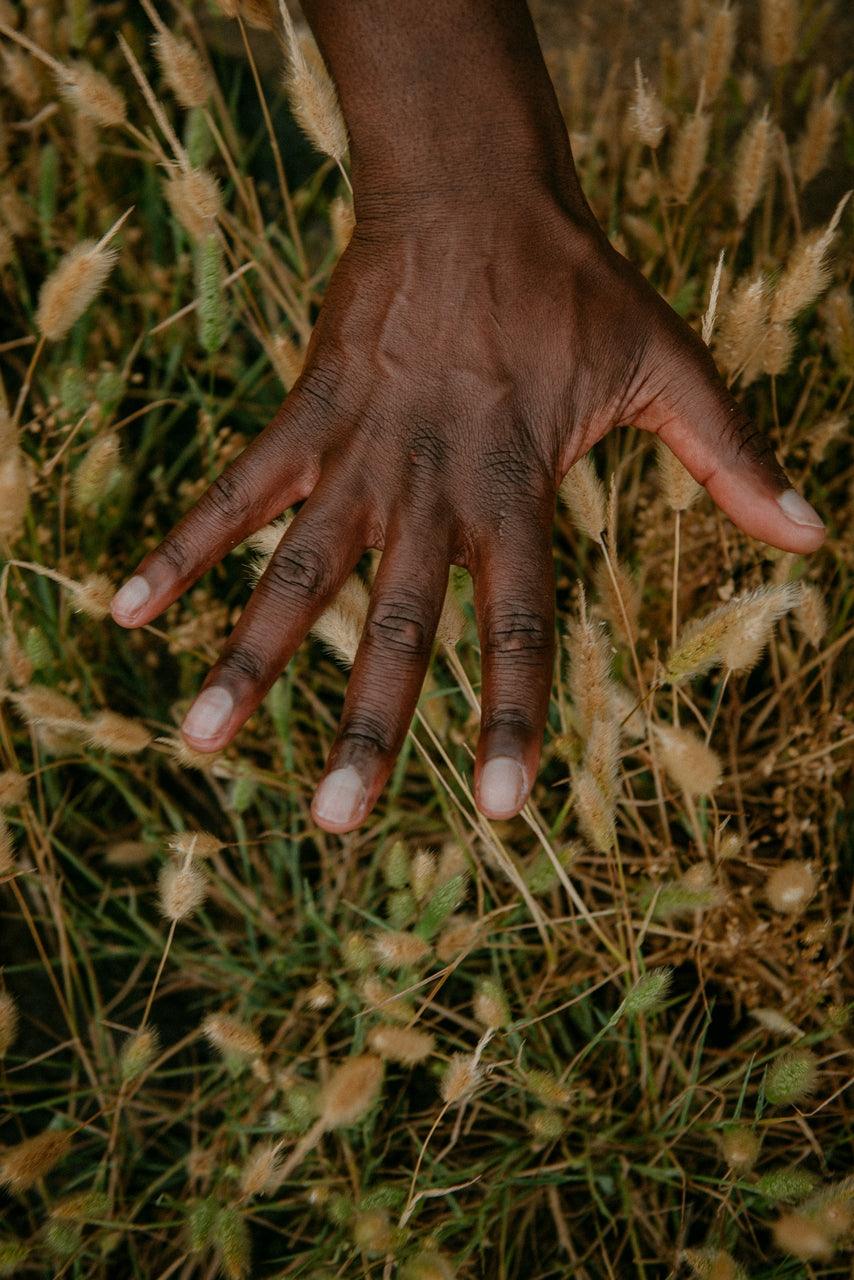 A Black man's hand caresses green and cream wild grasses. 