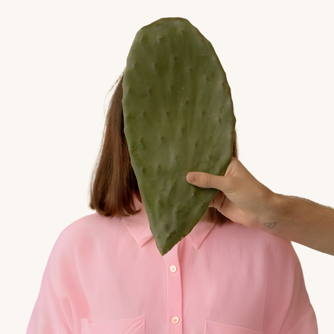 a woman wearing a pink shirt is facing the camera. A man's arm is outstretched, holding a cactus in front of her face to conceptually represent the concept of experiencing sensory overload.